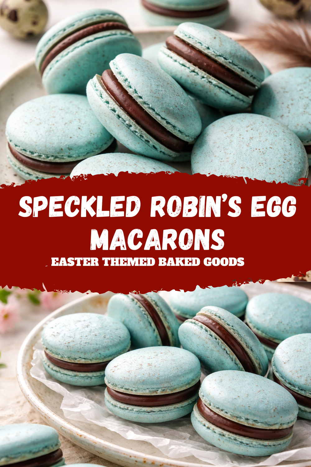 Speckled Robin’s Egg Macarons - 3 Thumbnail